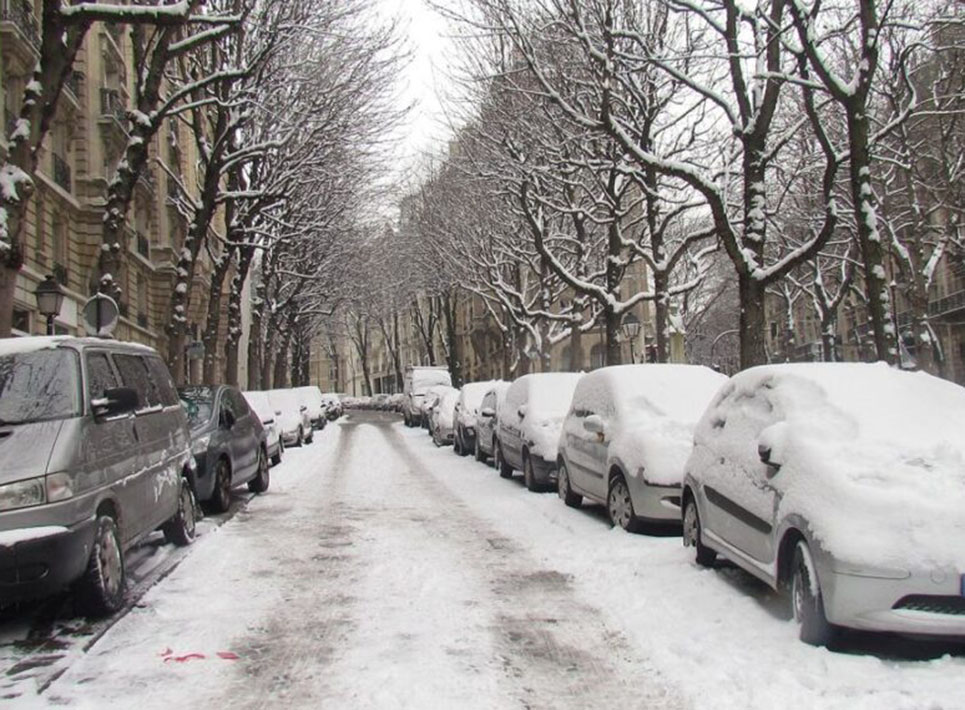 Émerveillement Hivernal à Alexandrie : Découvrez les Joyaux Cachés de la Saison Froide