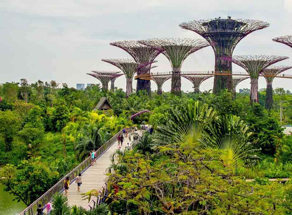 Sensation de la chaleur de Singapour : Appréciation de la douceur et de l’hospitalité singapouriennes