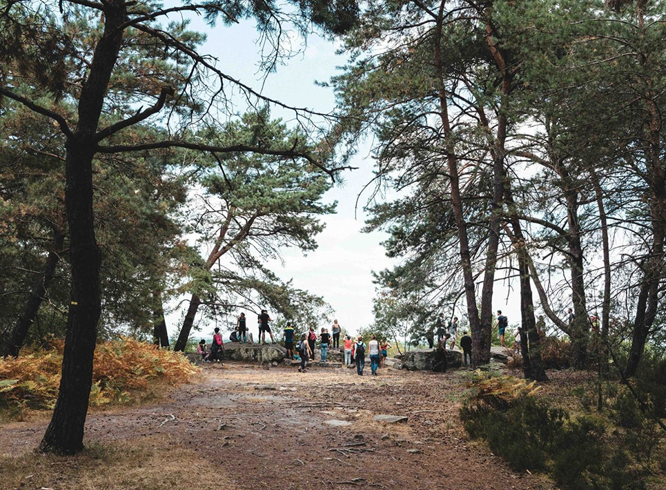 Aventure nature : réserves naturelles et activités de plein air autour de Paris